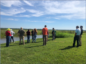 Goose Pond and Bloomfield Library: August 16, 2022