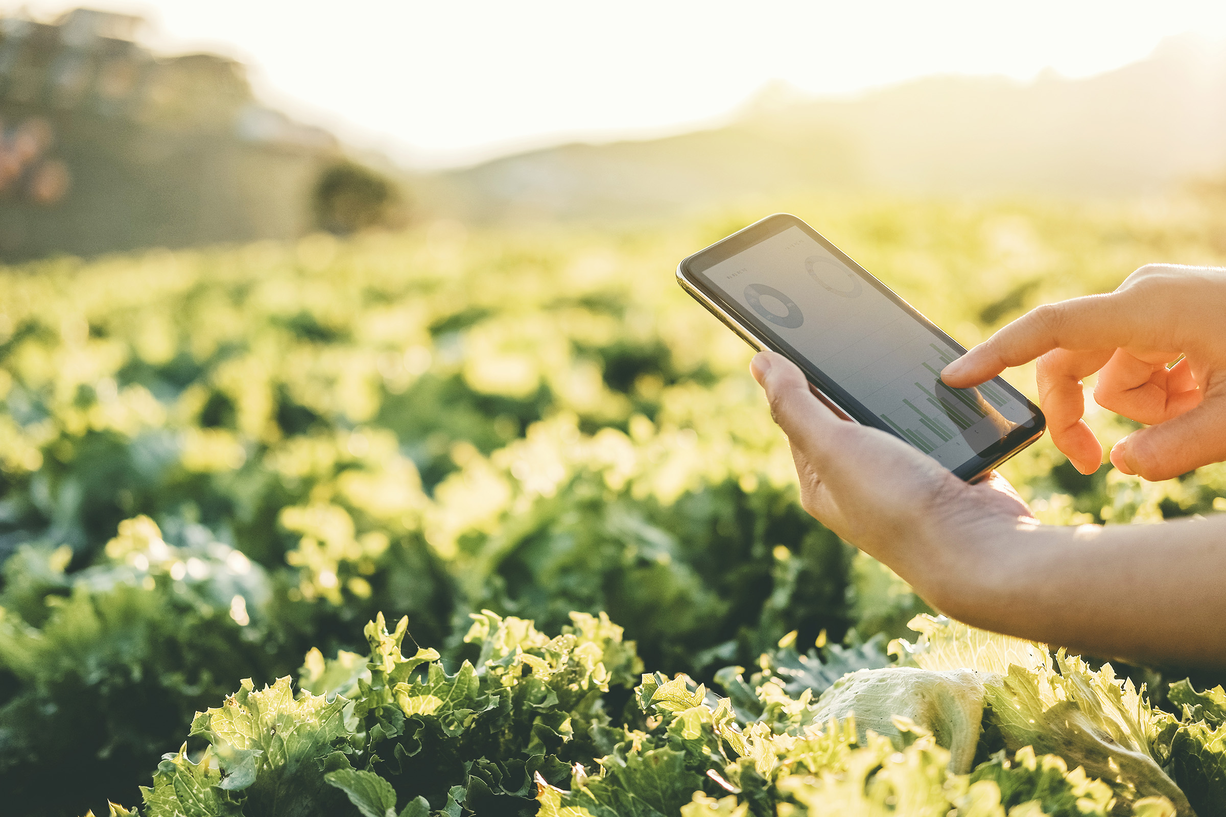 Mobile Device used in rural field