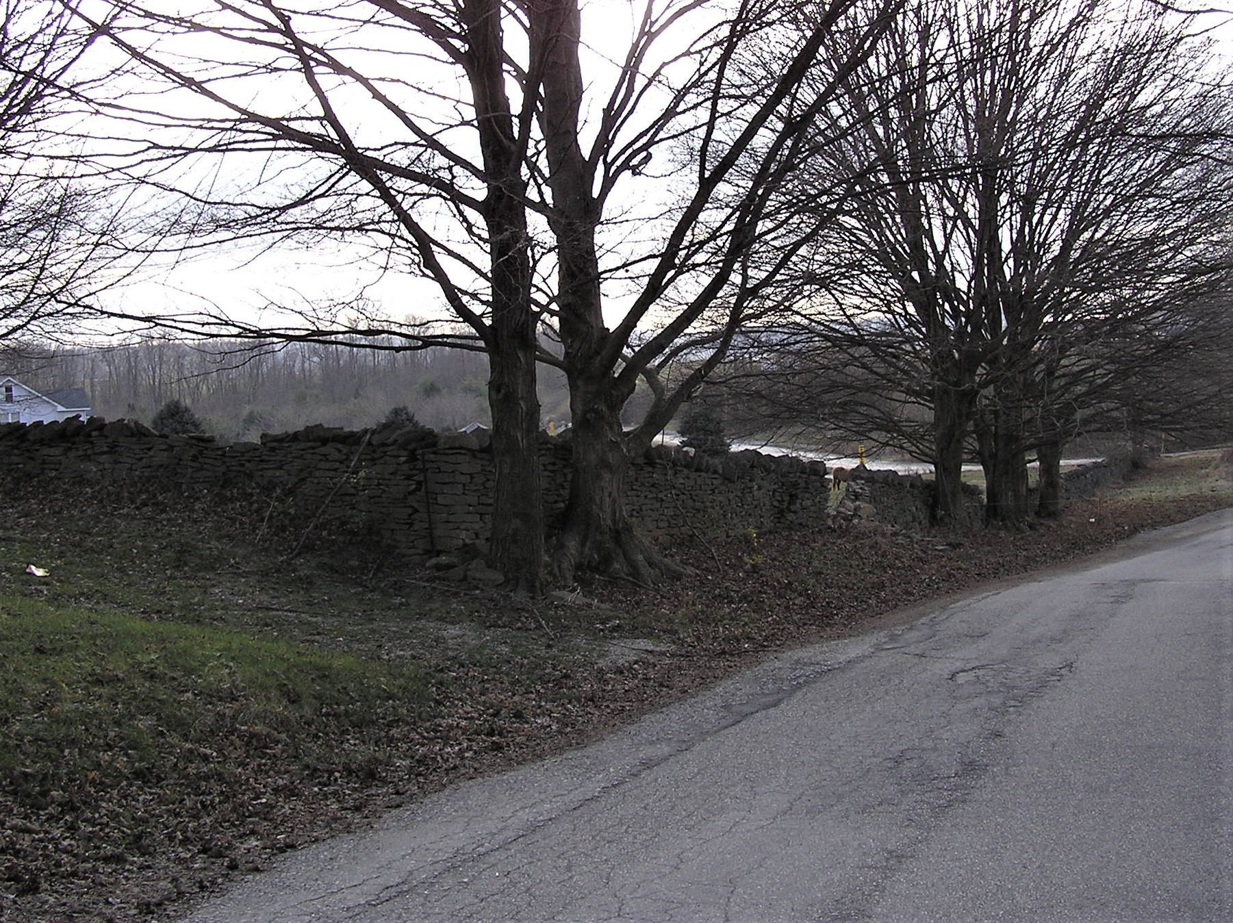 Picture 4