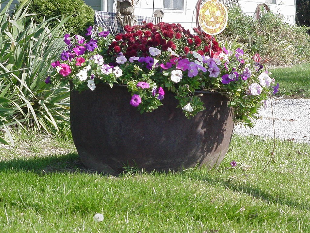 Picture 3