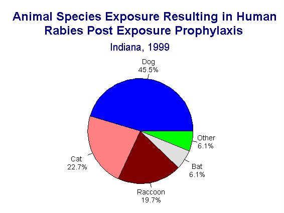 Rabies and Animal Bites