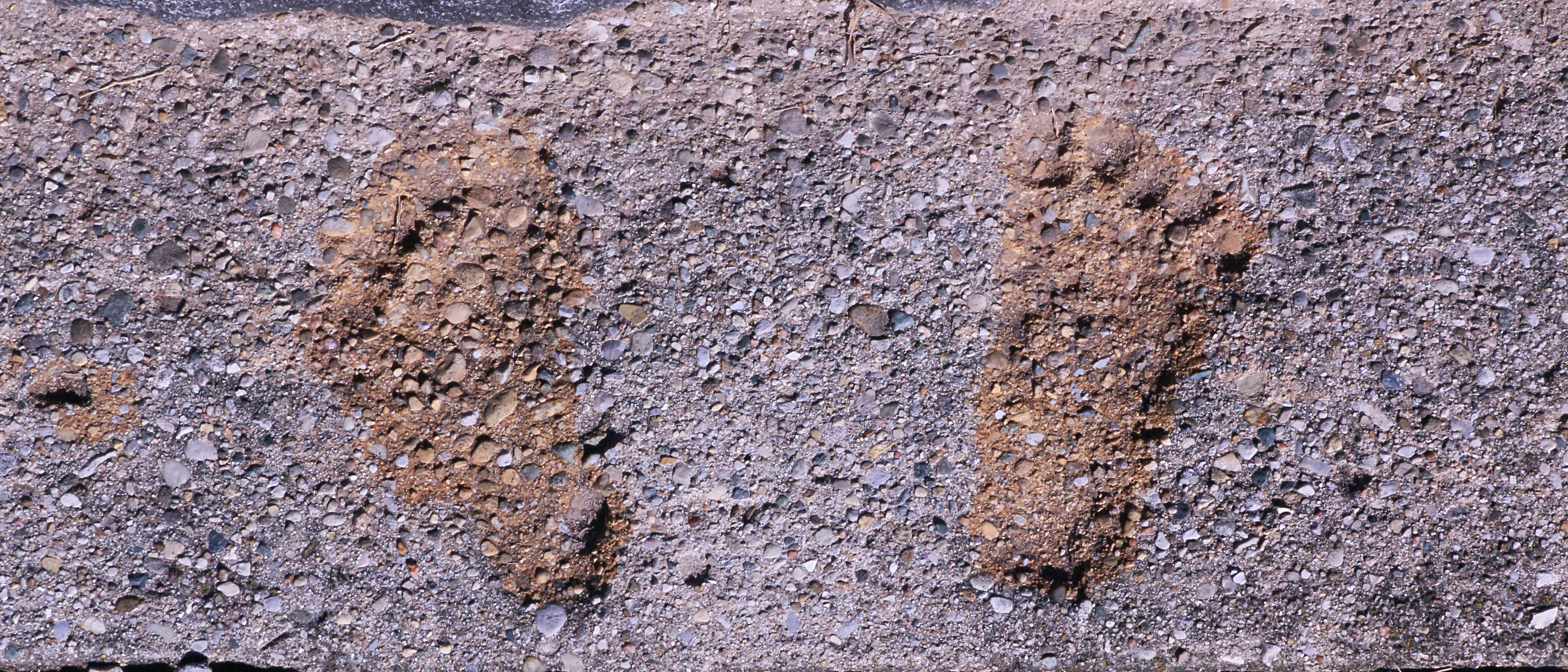 Headstone close-up - Footprints