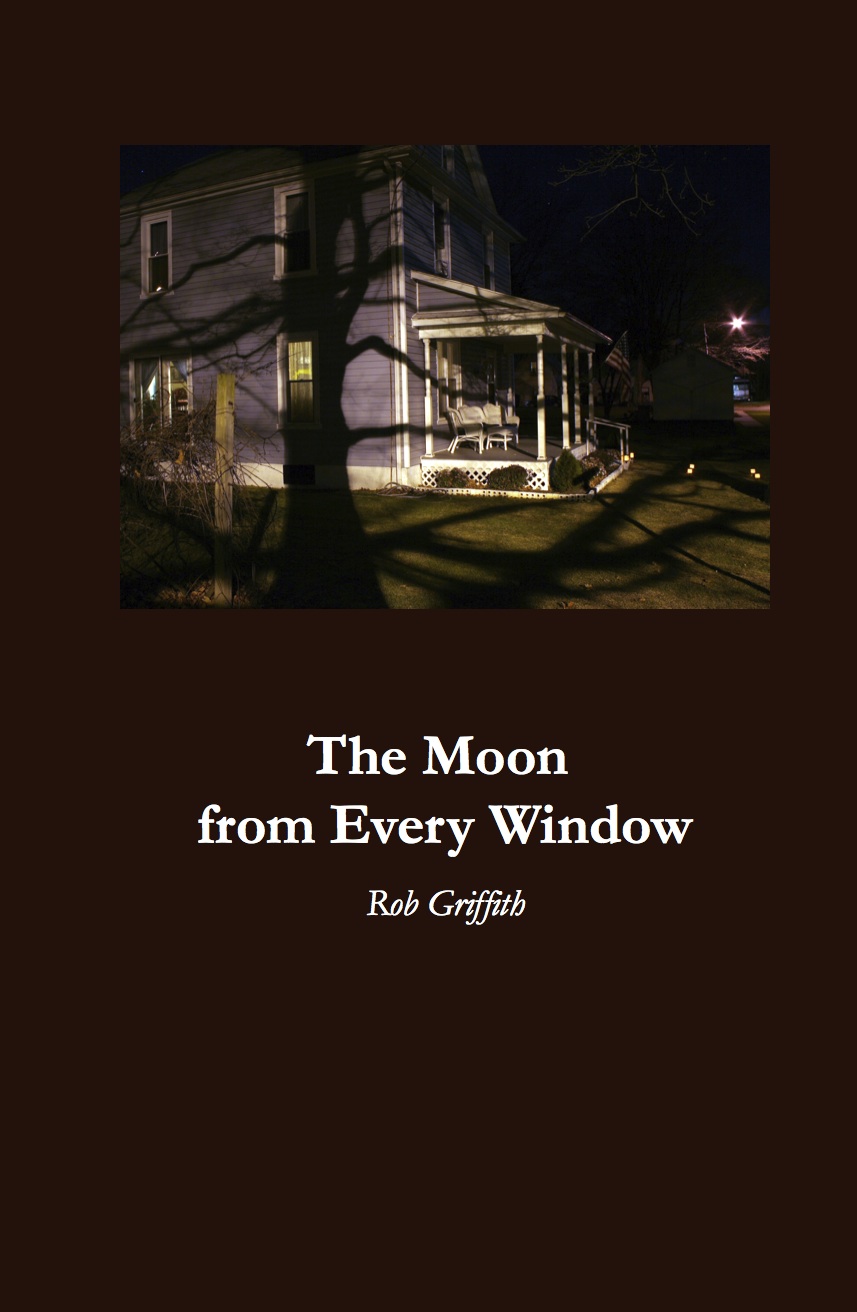 The Moon from Every Window