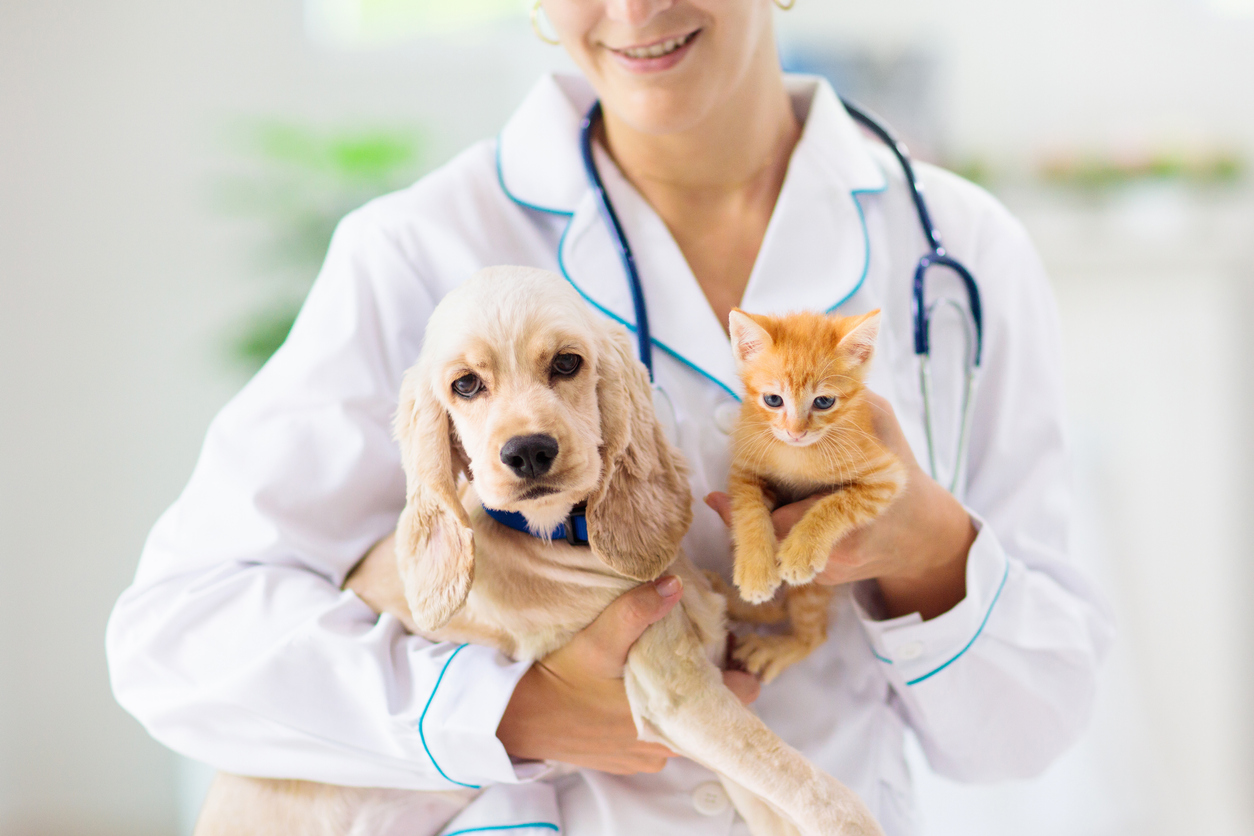 Vet with pets