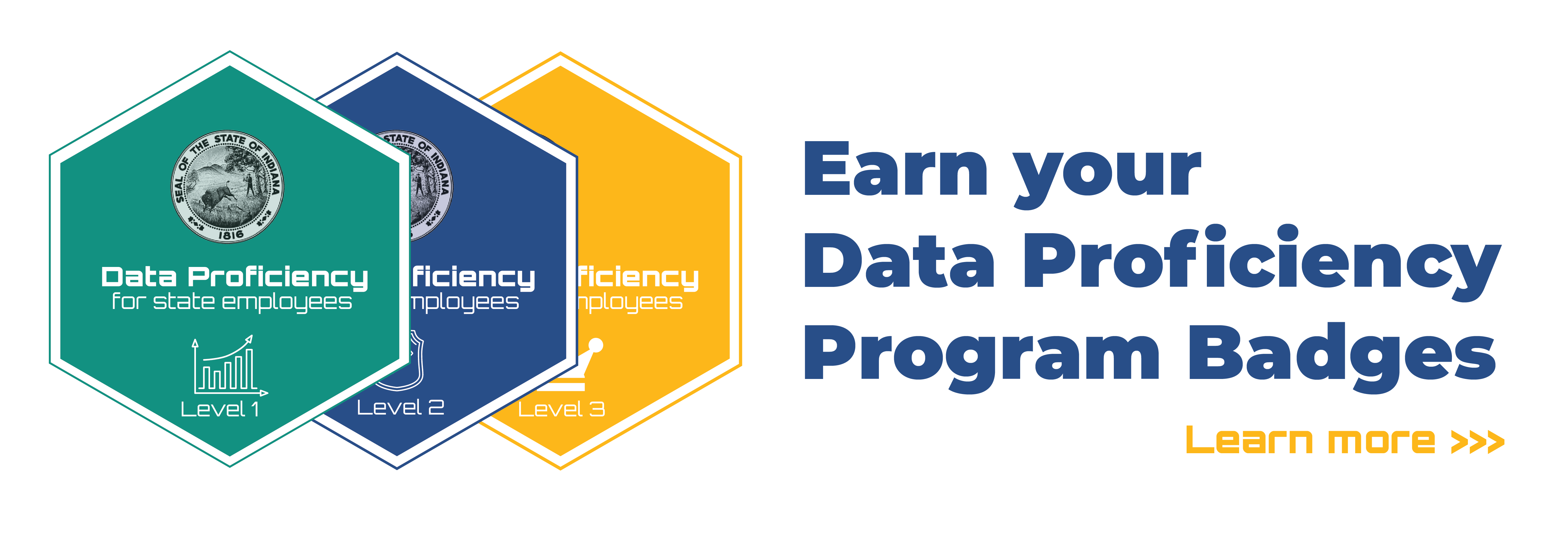 Earn you Data Proficiency Program Badges