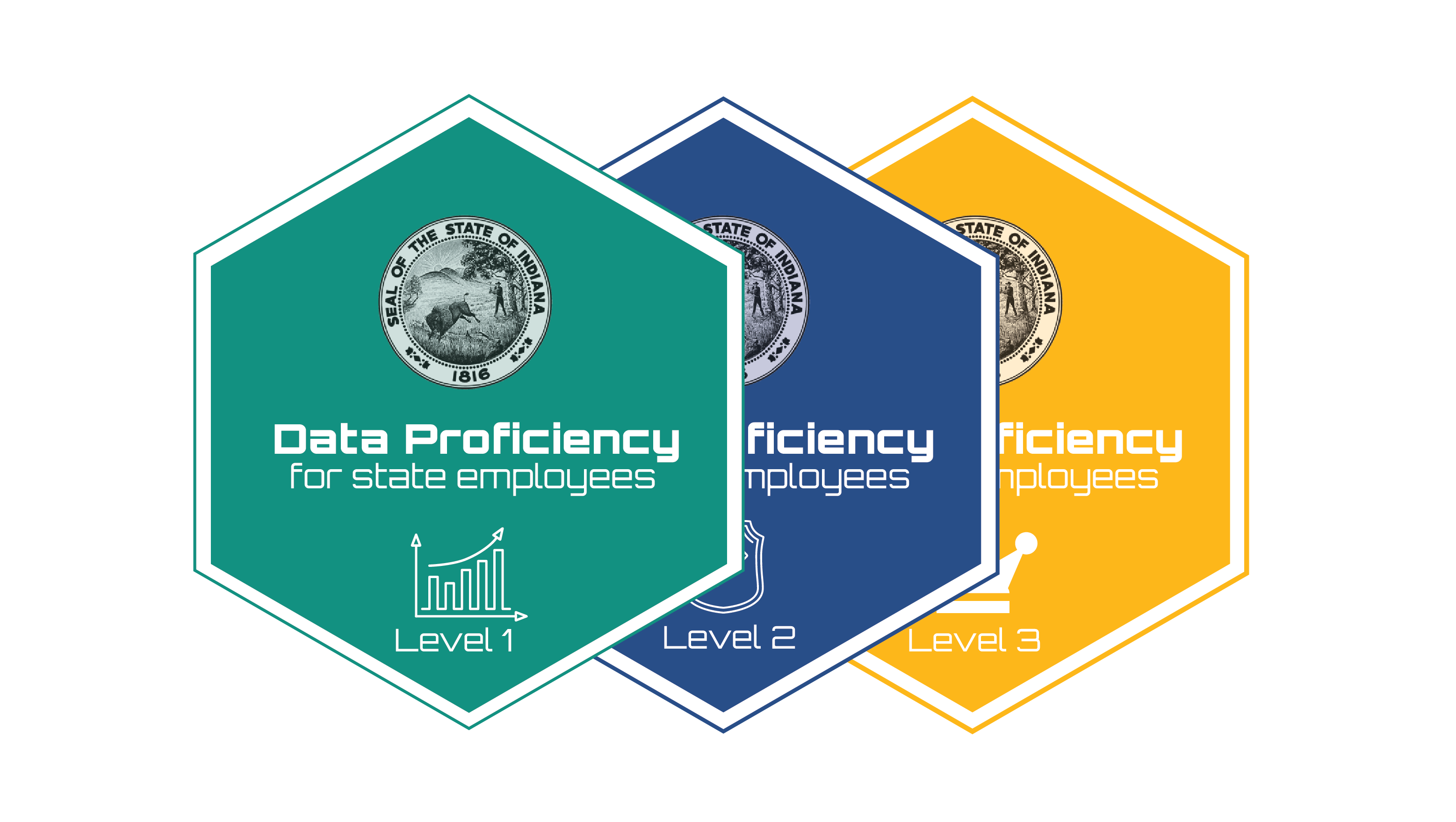 Data Proficiency Badge Program