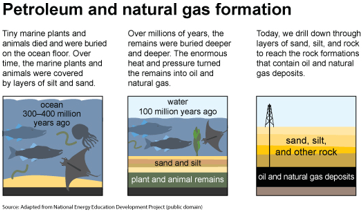 Petroleum and natural gas formation