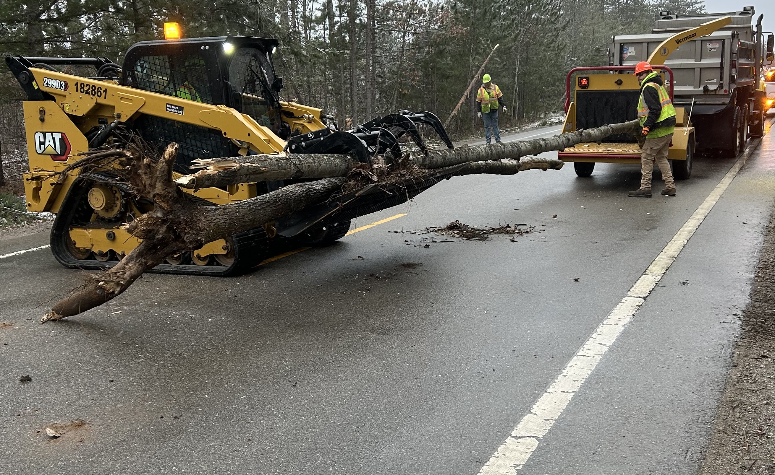 INDOT tree removal