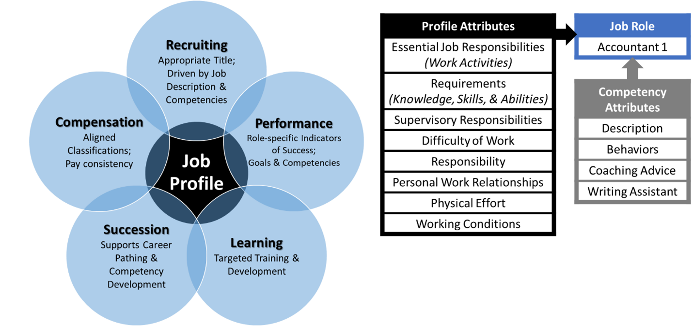 Job profile visual with multiple charts