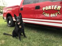K9 Jakob